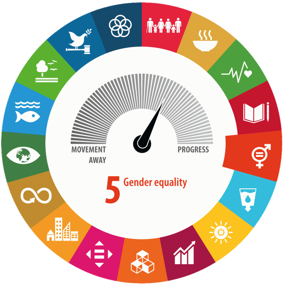 Visual, circle with all the SDGs, SDG 5 is Gender Equality