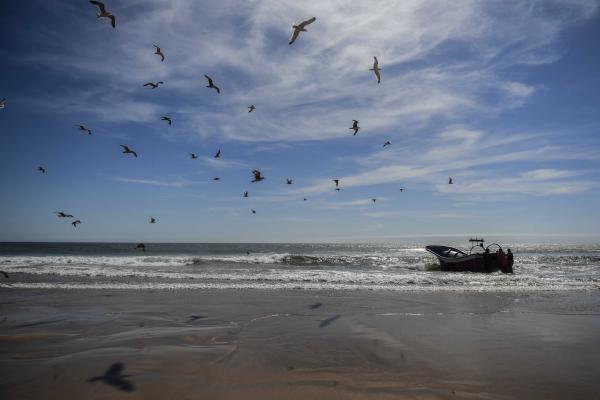 Sandy beach, boat and seagulls illustrating Zero pollution