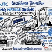 visual artists sketches