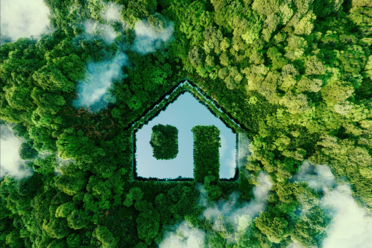 Improving the business environment