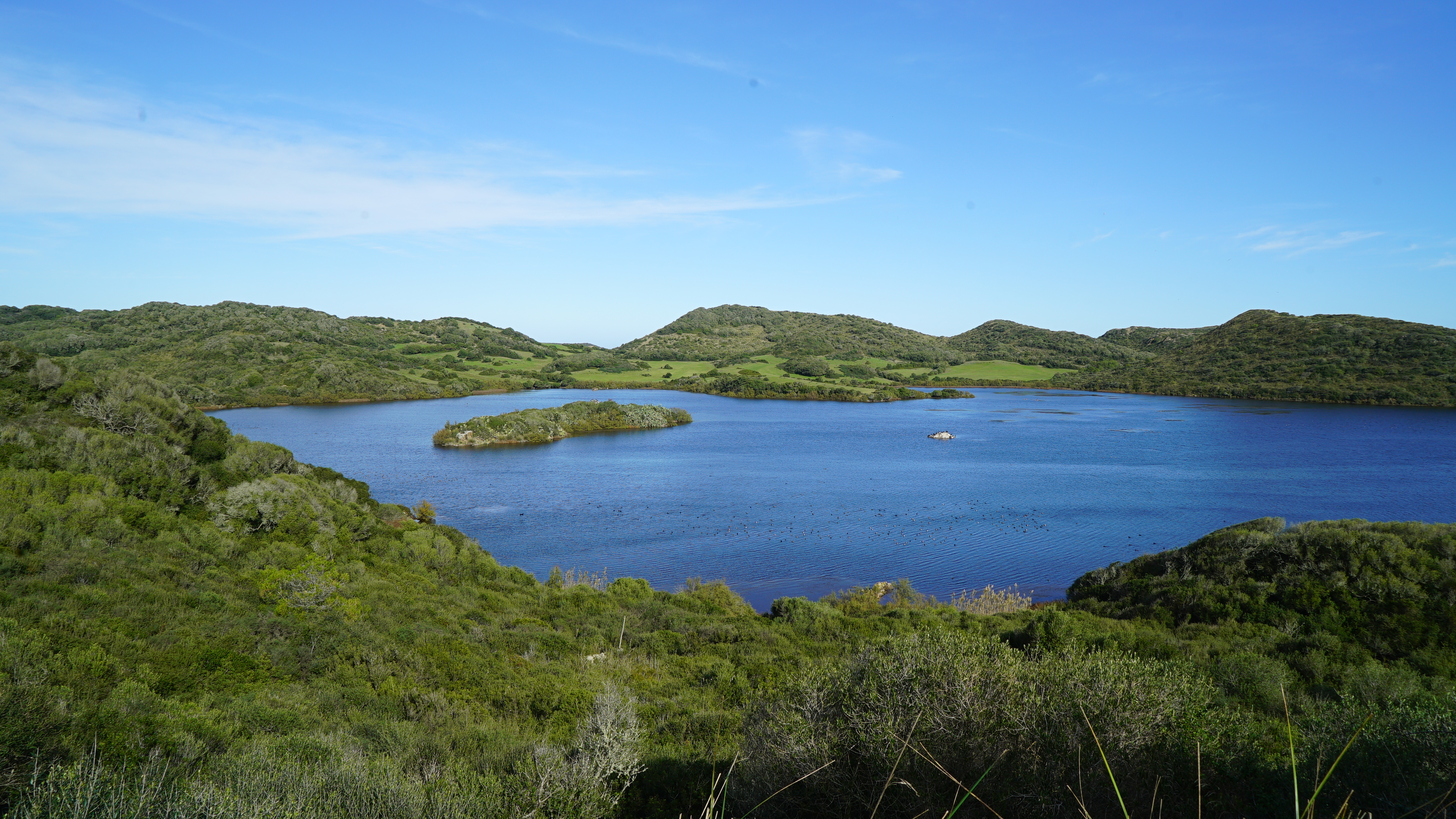 Restoration of biodiversity in the Menorca Biosphere Reserve.