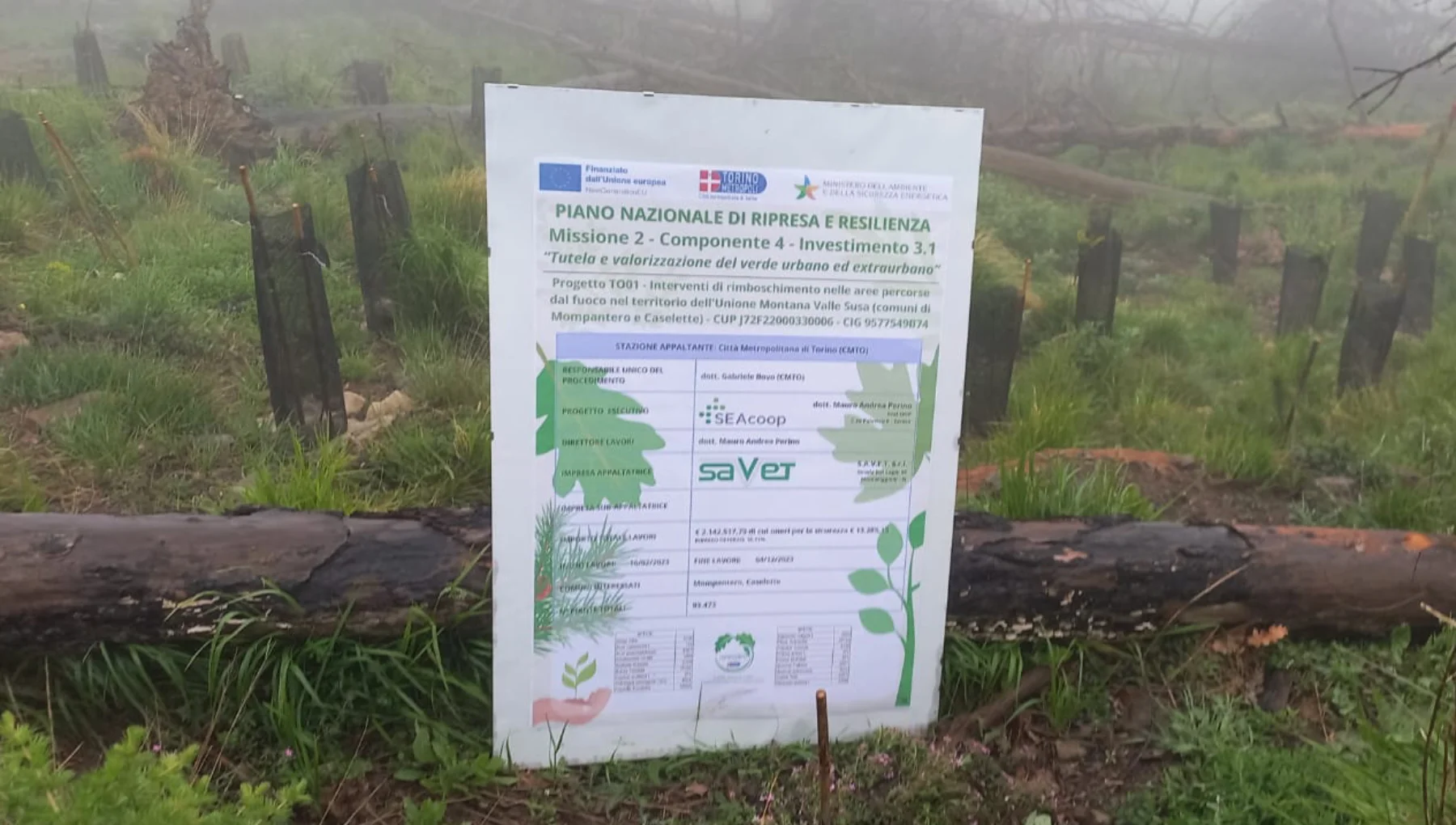 Reforestation in the area of "Unione Montana Valle Susa"