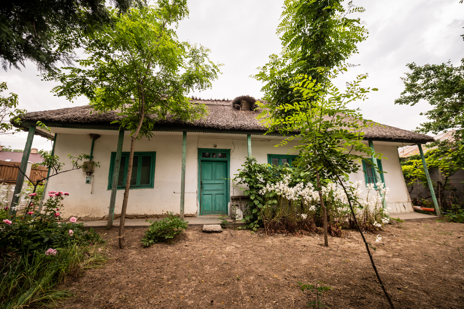  Household No. 1 - Pleșca Mirel family Romanian Government1.png 