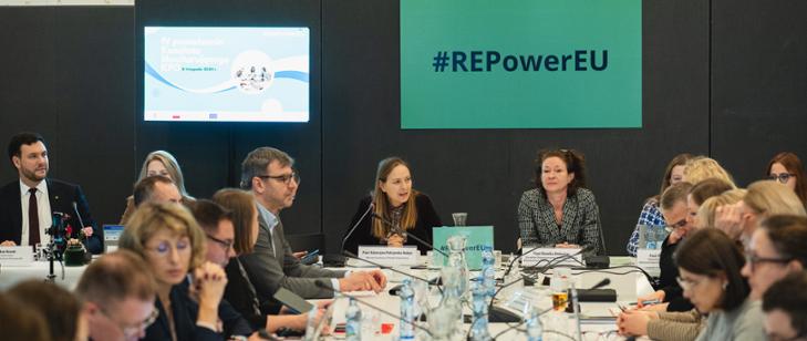 Support for institutions implementing REPowerEU reforms and investments