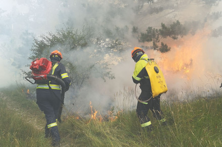 Strengthening preparedness and response in the event of climate-driven disasters