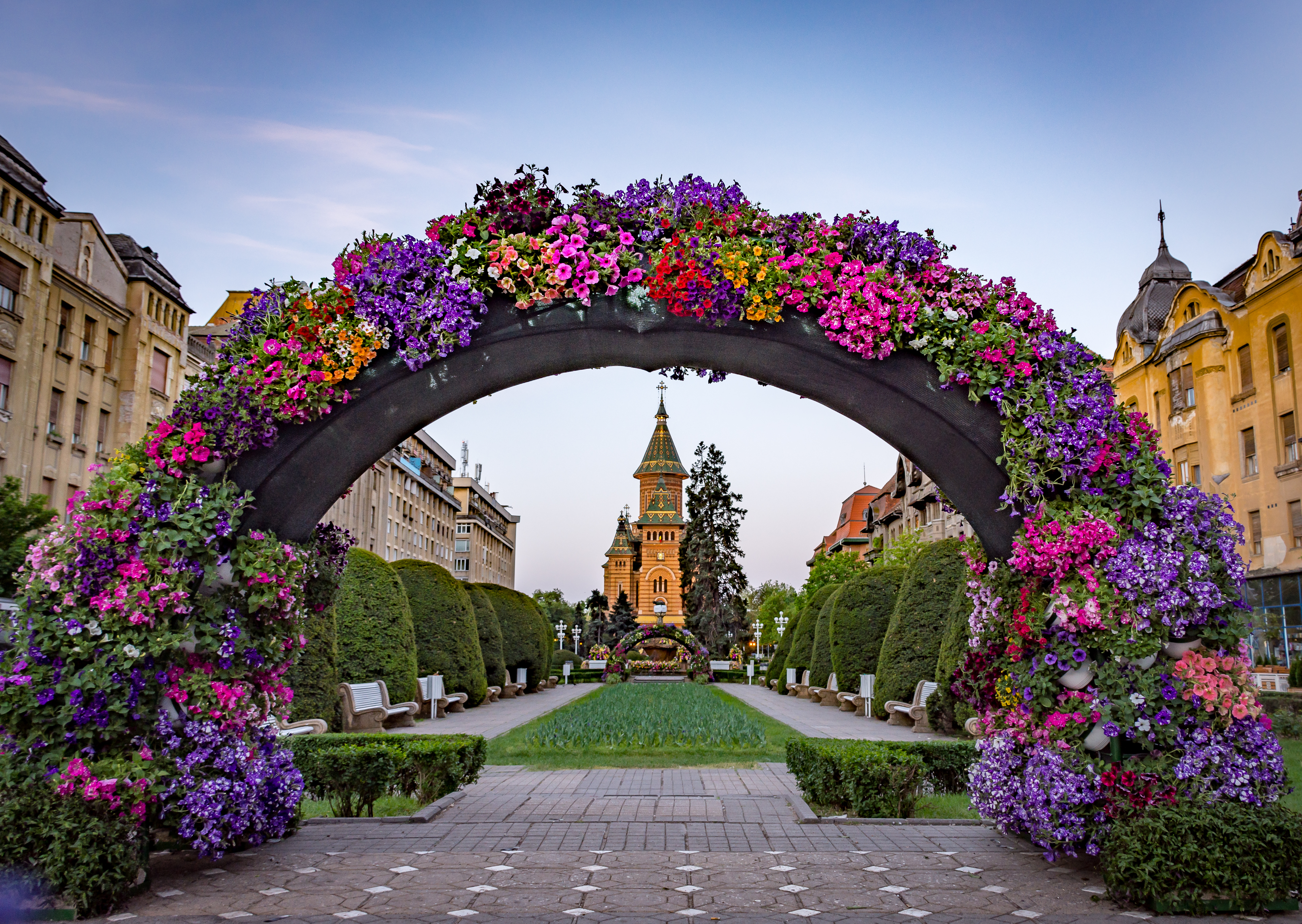 Destination Management Organization Timișoara