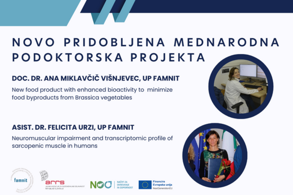 Neuromuscular impairment and transcriptomic profile of sarcopenic muscle in humans (snSARC)