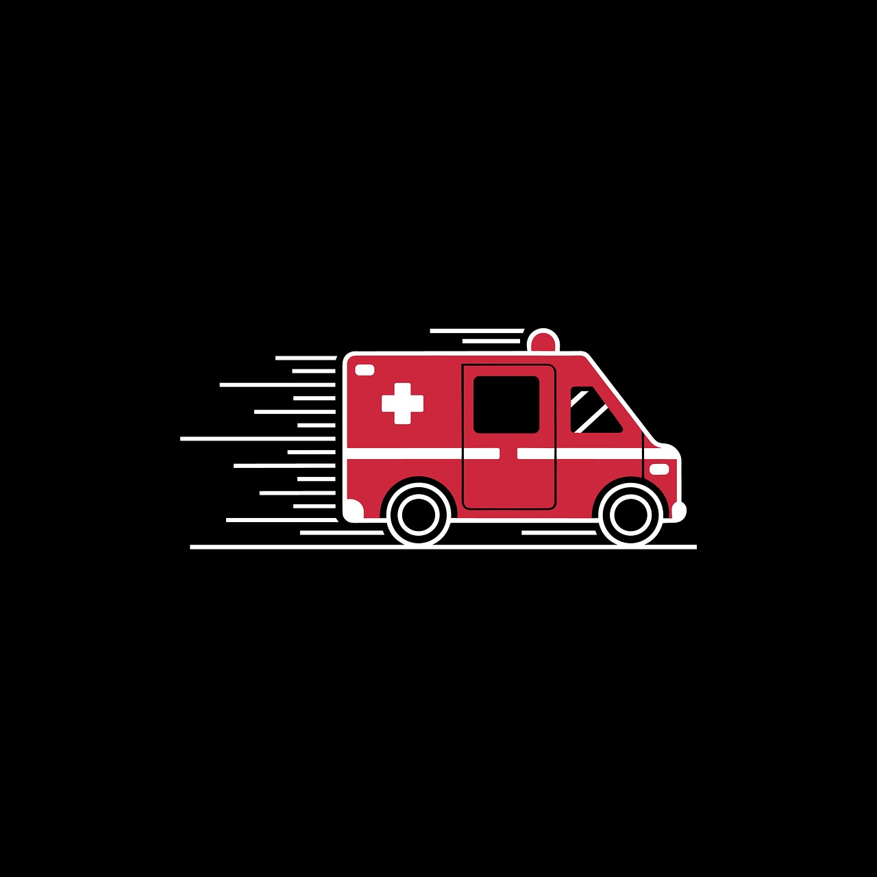 Cybersecurity of the Emergency Medical Service in the Central Bohemian Region