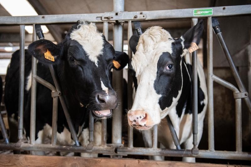 Setting sustainable livestock farming on a strong footing