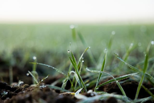 EU supports clean transition projects with over €358 million