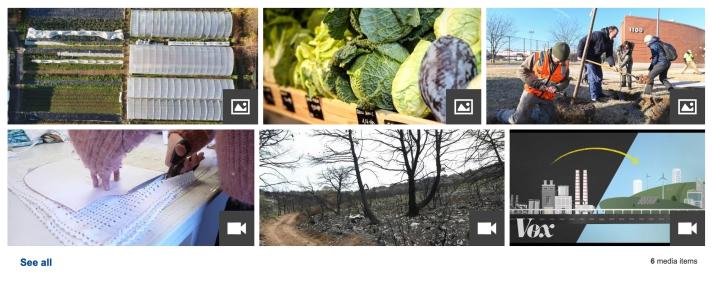 Media gallery - Example