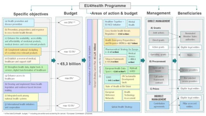 EU4HEALTH - Visual representation of structural set-up