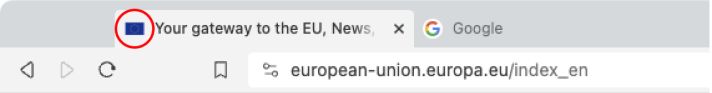 image of favicon european-union website 