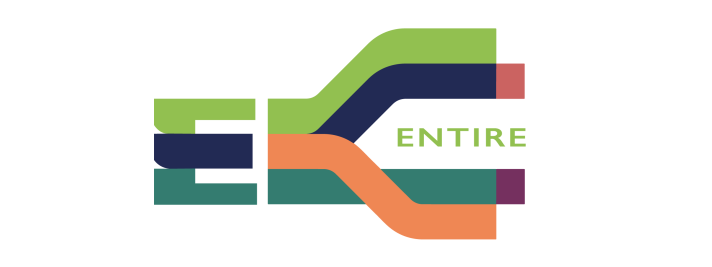 Digital Transformation of Enterprise in Ireland