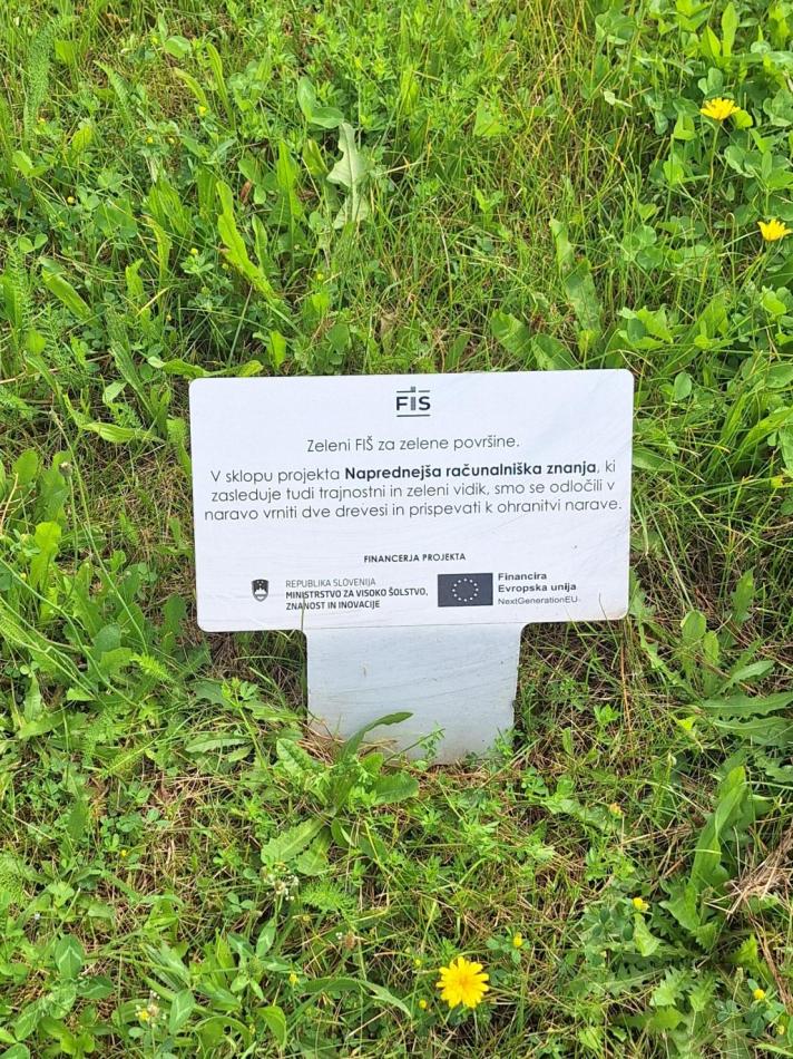 Advanced Computing Skills at the Faculty of Information Studies