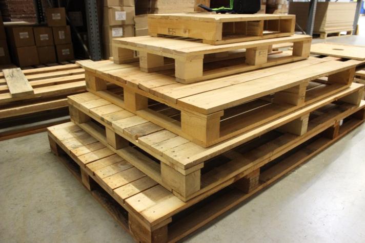 Investment in a new technology line - Lestera