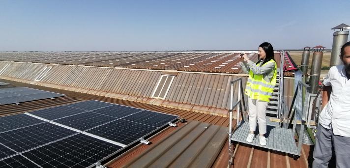 CONSTRUCTION OF PHOTOVOLTAIC POWER PLANT TO ENSURE SELF-CONSUMPTION