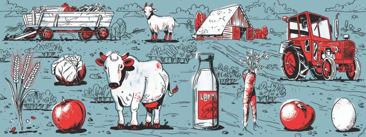 Asociatia Muzeul Colectivizarii 4_Romanian Government