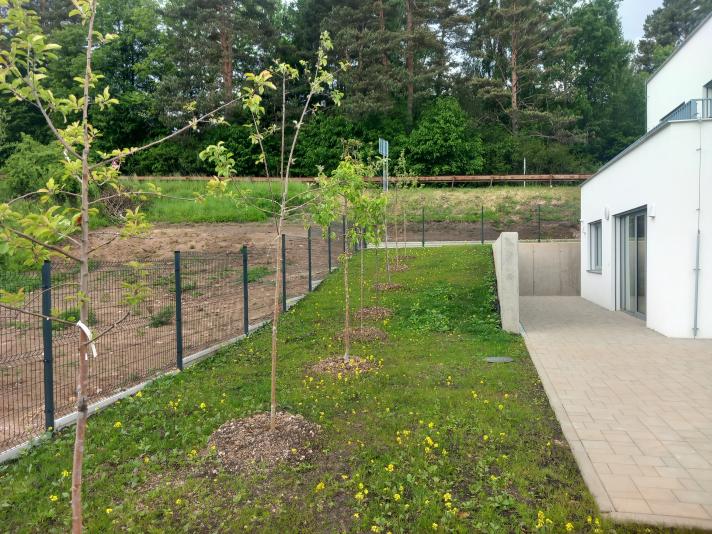 Expansion of community social care capacities