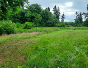 water Slavičky - Before