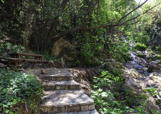 Establishment of national network of paths and hiking trails - Larnaka Gorge