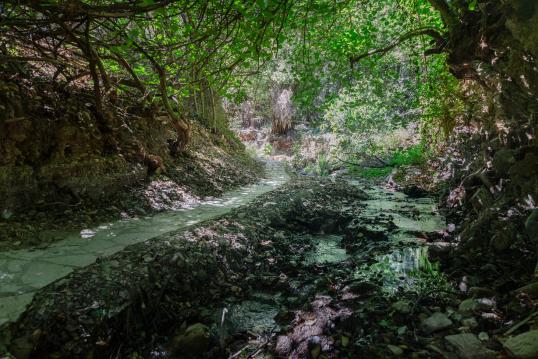 Establishment of national network of paths and hiking trails - Larnaka Gorge