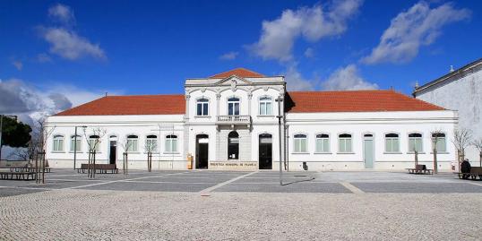 Palmela e Pinhal Novo reforçam acessibilidade nas Bibliotecas Municipais