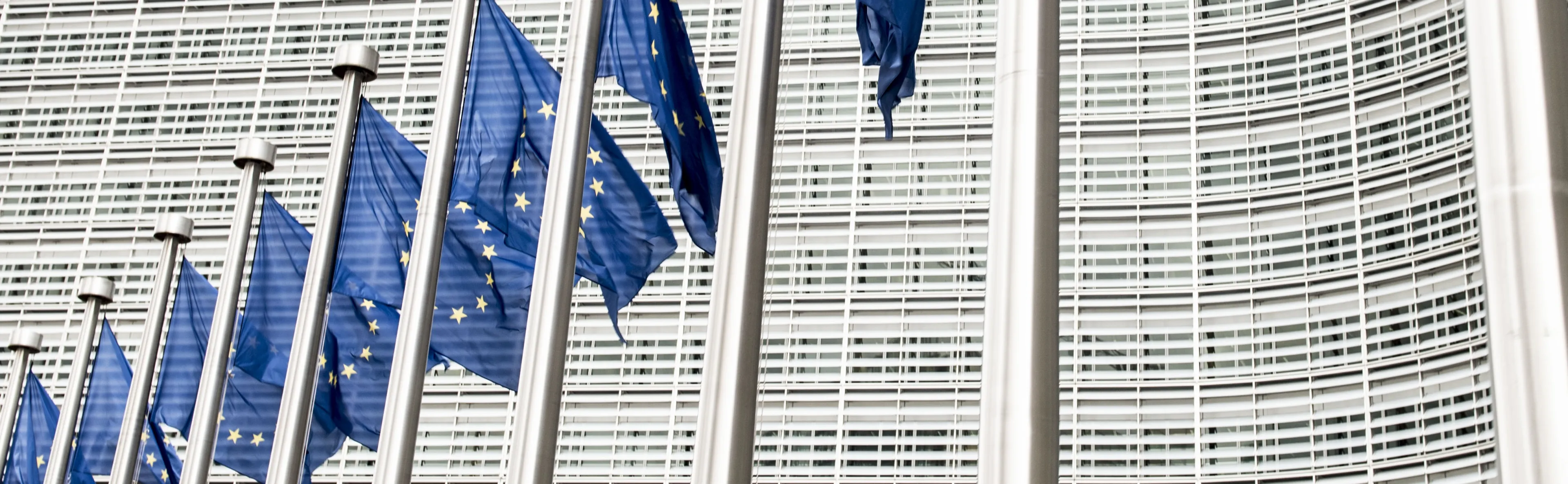 EU flags