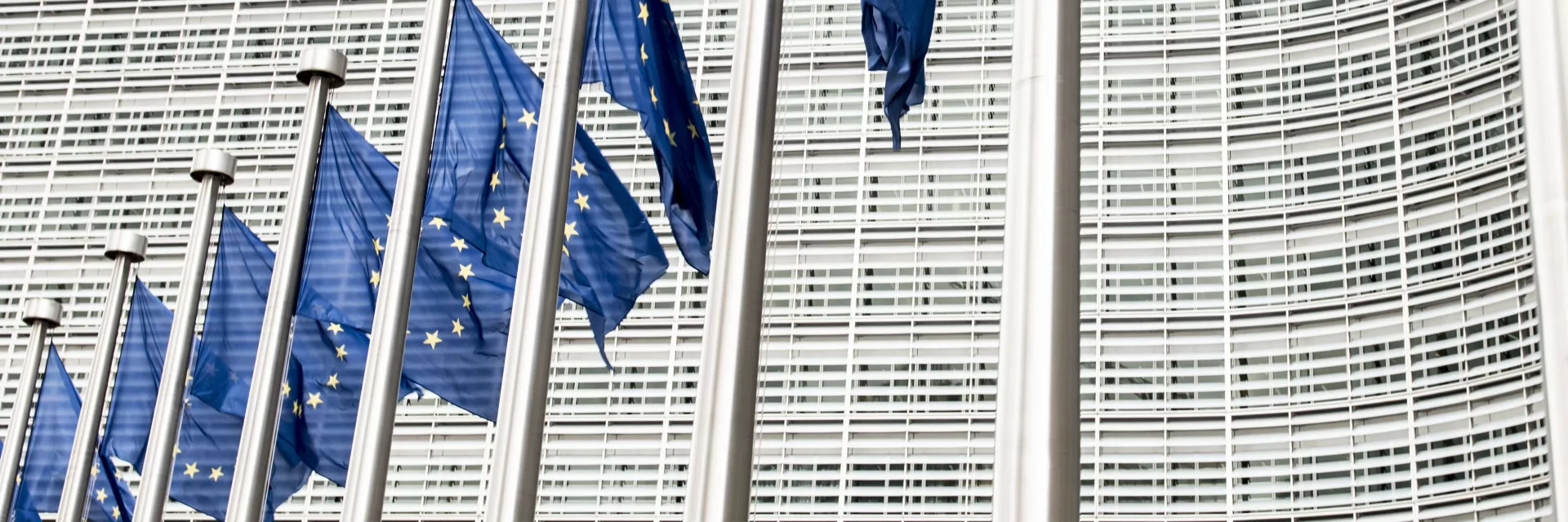 EU flags