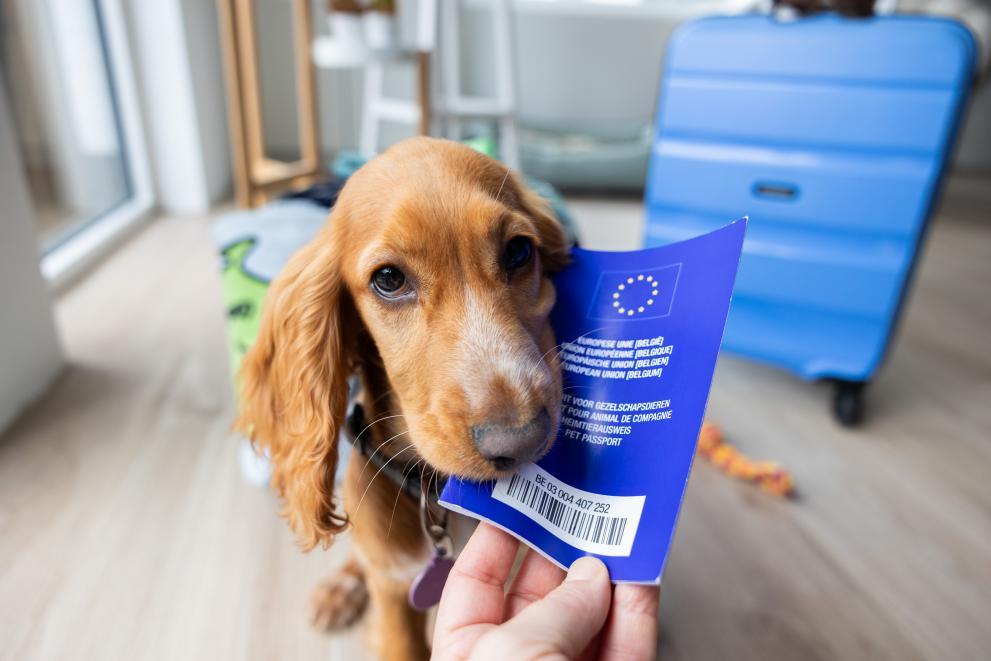 Orders apply for pet passport