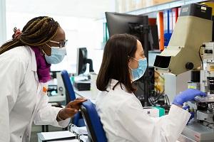 Two scientists working in a lab