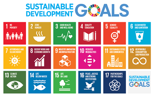 Image showing the seventeen sustainable development goals