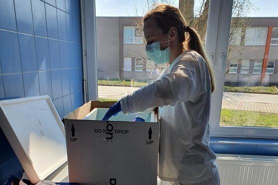 Scientist in the virology laboratory looks through a box