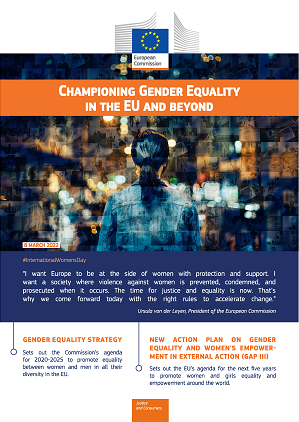 Factsheet - Championing gender equality - cover