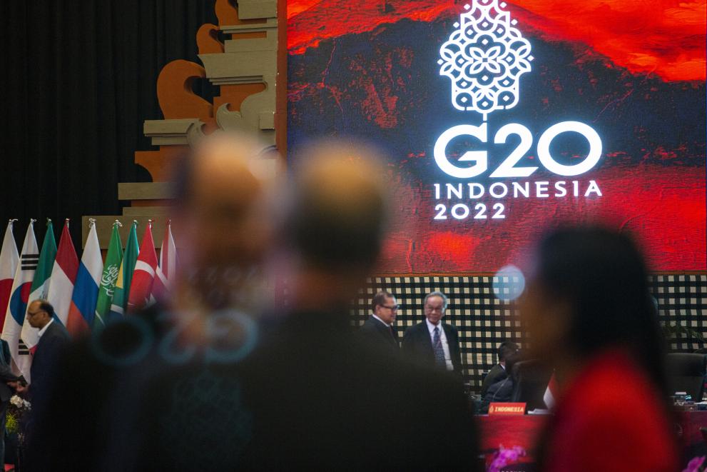 General view of the the G20 Environment and Climate Ministers' Meeting