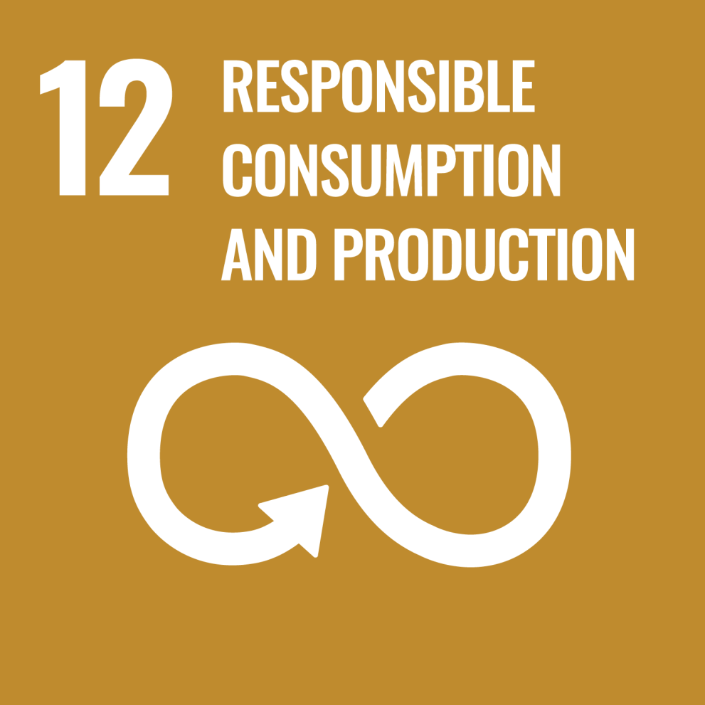 SDG - Goal 12 - Responsible consumption and production