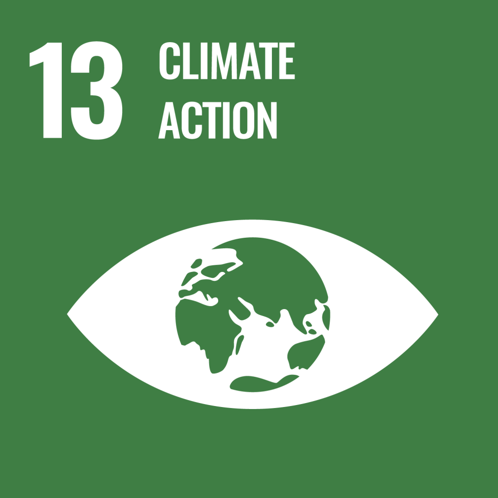 SDG - Goal 13 - Climate action