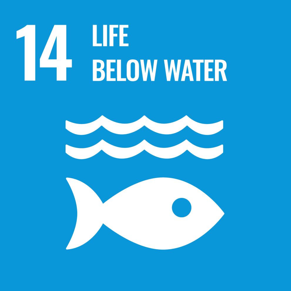 SDG - Goal 14 - Life below water
