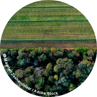 Graphic top down aerial view of forest and farmland next to each other with a clear divide between the tree tops and cultivated crop meadow. Dutch agriculture landscape seen from above.