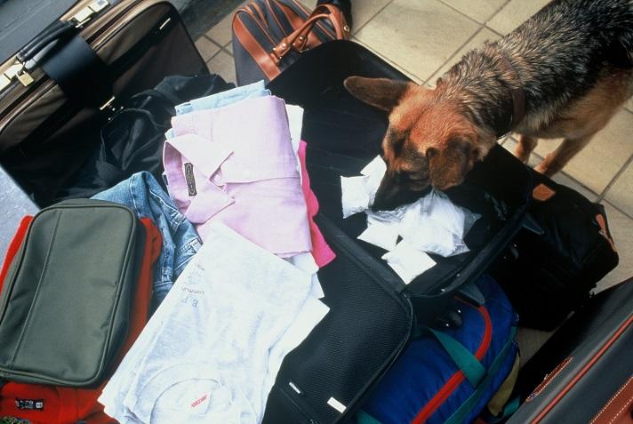 Police dog checking luggage