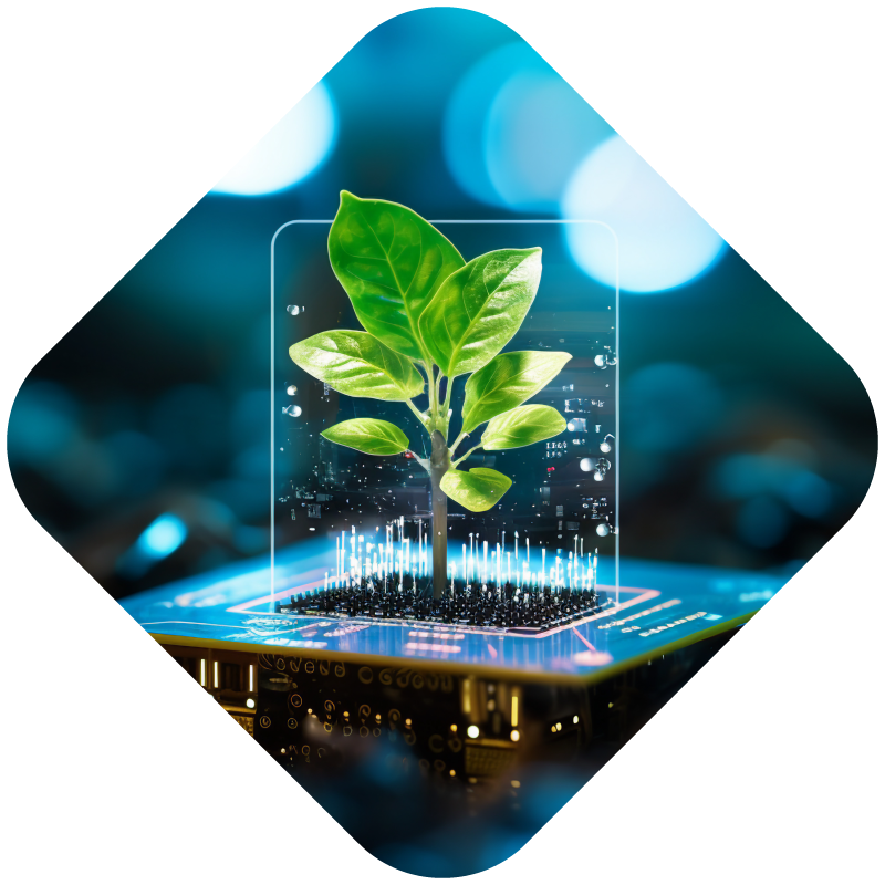 a plant growing from a chip Deep and digital technologies 