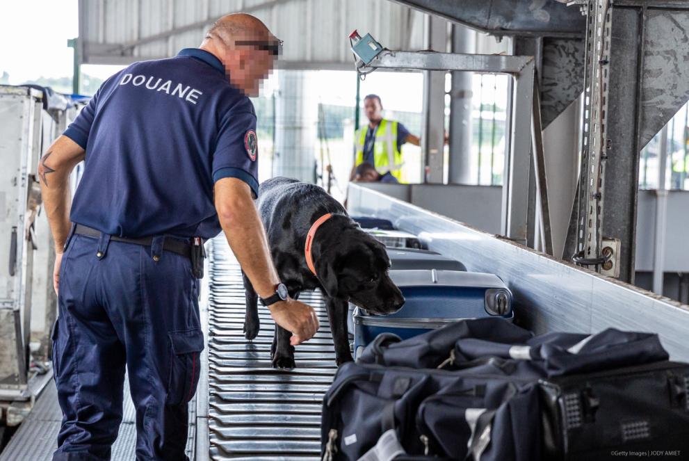 A customs officer with a sniffer dog inspects passengers' luggage prior to boarding, at the Felix Eboue Airport in Matoury, French Guiana