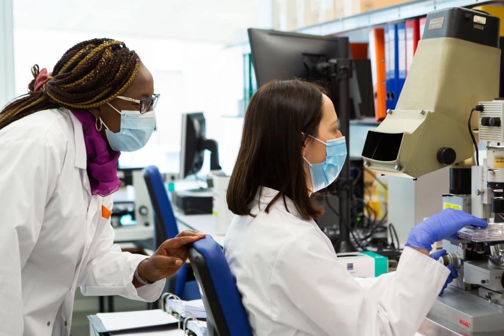 two medical doctors and researchers working at a laboratory 