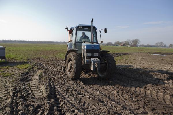 Organic agriculture in the Netherlands