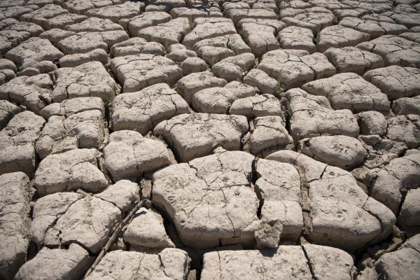 Drought - Spain