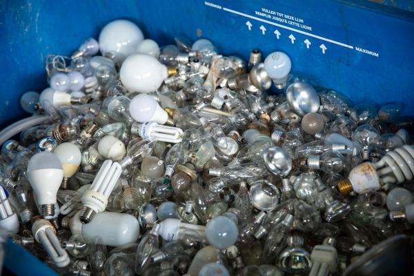 Waste and recycling, old light bulbs in the container